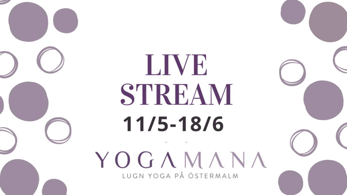 Live stream för bara 199 kr tom midsommar!